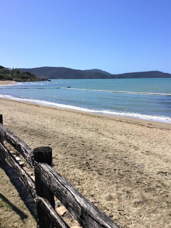 Whitsunday Waterfront Apartments Airlie Beach Exteriör bild